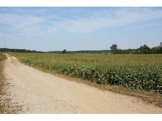 Property photo 59 - ILLINOIS LAND AUCTION - 705+/- ACRES OFFERED IN 16 TRACTS IN EDWARDS COUNTY, ILLINOIS